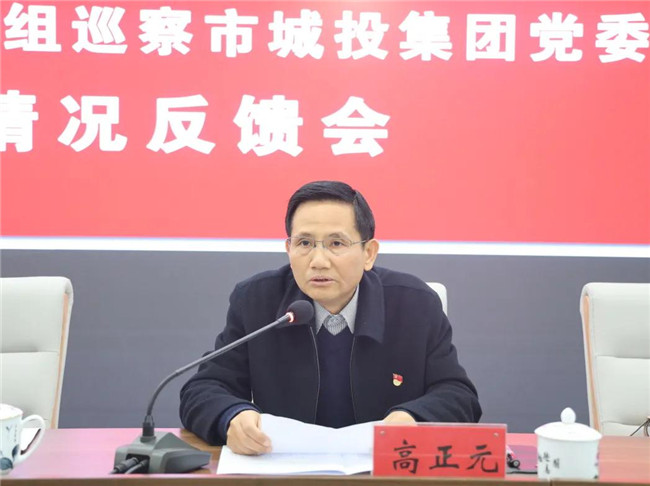 景德镇市委第四巡察组向市城投集团党委反馈巡察情况
